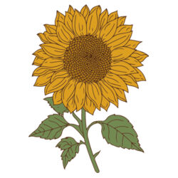 Baby | Bib | Sunflower Design