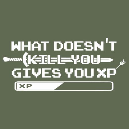 Men | ♻️ Relaxed Hoodie | What Doesn't Kill You Gives You XP Design