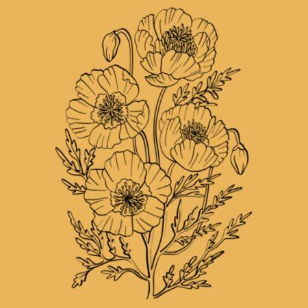 Women | Essential Tee | Blooming Poppies Design