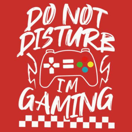 Kids | Hoodie | Do Not Disturb I'm Gaming Design